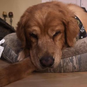 Meet your Posher, Keith